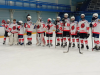 Хоккейная команда «Вятка» выиграла региональный отбор «Золотой шайбы» фото 1