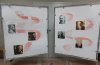 О подвиге эпидемиологов в борьбе с инфекционными заболеваниями фото 4