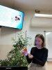 «Актуальные вопросы применения физических факторов в стоматологии» фото 1